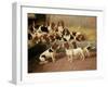 Basset Hounds in a Kennel, 1894-Valentine Thomas Garland-Framed Giclee Print