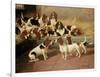 Basset Hounds in a Kennel, 1894-Valentine Thomas Garland-Framed Giclee Print