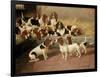 Basset Hounds in a Kennel, 1894-Valentine Thomas Garland-Framed Giclee Print