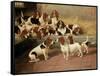 Basset Hounds in a Kennel, 1894-Valentine Thomas Garland-Framed Stretched Canvas