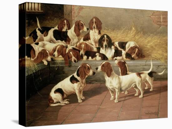 Basset Hounds in a Kennel, 1894-Valentine Thomas Garland-Stretched Canvas