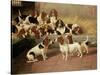 Basset Hounds in a Kennel, 1894-Valentine Thomas Garland-Stretched Canvas