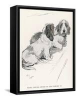 Basset Hounds Owned by King Edward VII-Cecil Aldin-Framed Stretched Canvas