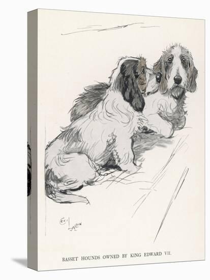 Basset Hounds Owned by King Edward VII-Cecil Aldin-Stretched Canvas
