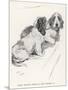 Basset Hounds Owned by King Edward VII-Cecil Aldin-Mounted Art Print