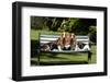 Basset Hounds Sitting on a Park Bench-Zandria Muench Beraldo-Framed Photographic Print