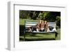 Basset Hounds Sitting on a Park Bench-Zandria Muench Beraldo-Framed Photographic Print