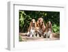 Basset Hounds Sitting on Garden Pathway-Zandria Muench Beraldo-Framed Photographic Print