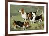 Basset Hounds-Vero Shaw-Framed Premium Giclee Print