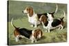 Basset Hounds-Vero Shaw-Stretched Canvas