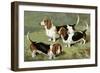 Basset Hounds-Vero Shaw-Framed Art Print