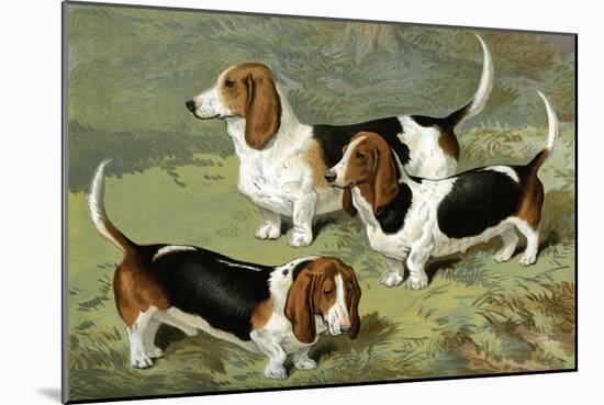 Basset Hounds-Vero Shaw-Mounted Art Print