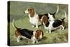 Basset Hounds-Vero Shaw-Stretched Canvas