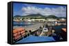 Basseterre, St. Kitts, St. Kitts and Nevis-Robert Harding-Framed Stretched Canvas