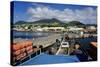 Basseterre, St. Kitts, St. Kitts and Nevis-Robert Harding-Stretched Canvas