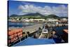 Basseterre, St. Kitts, St. Kitts and Nevis-Robert Harding-Stretched Canvas