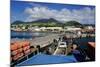 Basseterre, St. Kitts, St. Kitts and Nevis-Robert Harding-Mounted Photographic Print