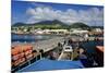 Basseterre, St. Kitts, St. Kitts and Nevis-Robert Harding-Mounted Photographic Print