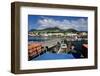 Basseterre, St. Kitts, St. Kitts and Nevis-Robert Harding-Framed Photographic Print