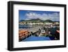 Basseterre, St. Kitts, St. Kitts and Nevis-Robert Harding-Framed Photographic Print