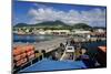 Basseterre, St. Kitts, St. Kitts and Nevis-Robert Harding-Mounted Photographic Print