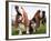 Bassethounds Pose in Dortmund, Germany-null-Framed Photographic Print