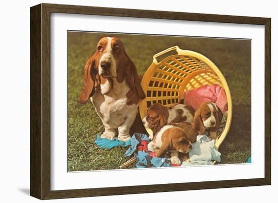 Bassett Hound Family in Laundry Basket-null-Framed Art Print