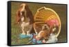 Bassett Hound Family in Laundry Basket-null-Framed Stretched Canvas