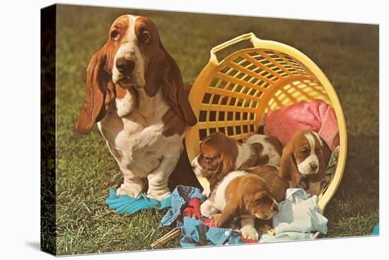 Bassett Hound Family in Laundry Basket-null-Stretched Canvas