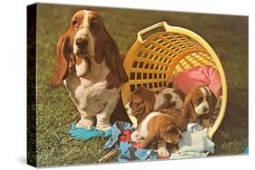 Bassett Hound Family in Laundry Basket-null-Stretched Canvas