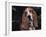 Bassett Hound Portrait, USA-Lynn M^ Stone-Framed Photographic Print