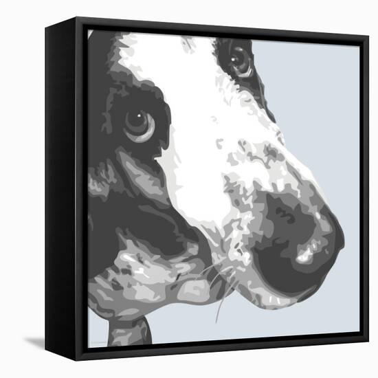 Bassett Hound-Emily Burrowes-Framed Stretched Canvas