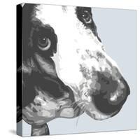 Bassett Hound-Emily Burrowes-Stretched Canvas