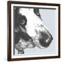 Bassett Hound-Emily Burrowes-Framed Art Print