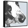 Bassett Hound-Emily Burrowes-Framed Stretched Canvas