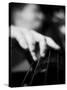 Bassist 1 BW-John Gusky-Stretched Canvas