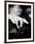 Bassist 1 BW-John Gusky-Framed Photographic Print