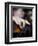 Bassist 1-John Gusky-Framed Photographic Print