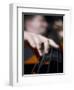 Bassist 1-John Gusky-Framed Photographic Print