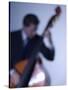 Bassist 2-John Gusky-Stretched Canvas