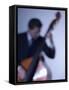 Bassist 2-John Gusky-Framed Stretched Canvas