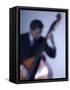 Bassist 2-John Gusky-Framed Stretched Canvas