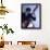 Bassist 2-John Gusky-Framed Photographic Print displayed on a wall