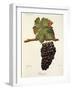 Bastardo Grape-J. Troncy-Framed Giclee Print