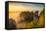 Bastei Bridge, Bastei, Saxon Switzerland National Park, Saxony, Germany-Jon Arnold-Framed Stretched Canvas