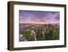 Bastei Bridge, Bastei, Saxon Switzerland National Park, Saxony, Germany-Jon Arnold-Framed Photographic Print