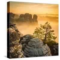 Bastei, Saxon Switzerland National Park, Saxony, Germany-Jon Arnold-Stretched Canvas