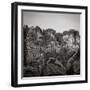 Bastei, Saxon Switzerland National Park, Saxony, Germany-Jon Arnold-Framed Photographic Print