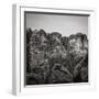 Bastei, Saxon Switzerland National Park, Saxony, Germany-Jon Arnold-Framed Photographic Print