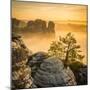 Bastei, Saxon Switzerland National Park, Saxony, Germany-Jon Arnold-Mounted Photographic Print